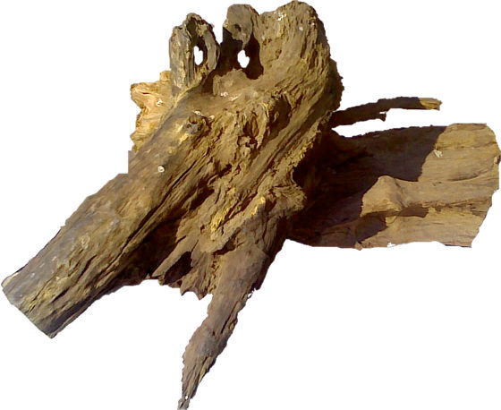 Kliknij w zdjecie, aby powiekszyc Highslide JS