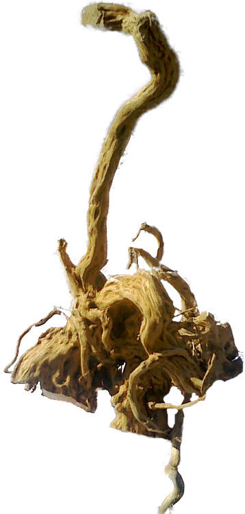 Kliknij w zdjecie, aby powiekszyc Highslide JS